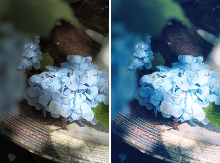 ͎Be܂܂̎ʐ^ŁAÉuLUMIX LabvLUTKpʐ^BuLUMIX LabvɗpӂĂLUT͎ނLxŃNGCeBuBp\RA肪CyɊy߂̂͂ł