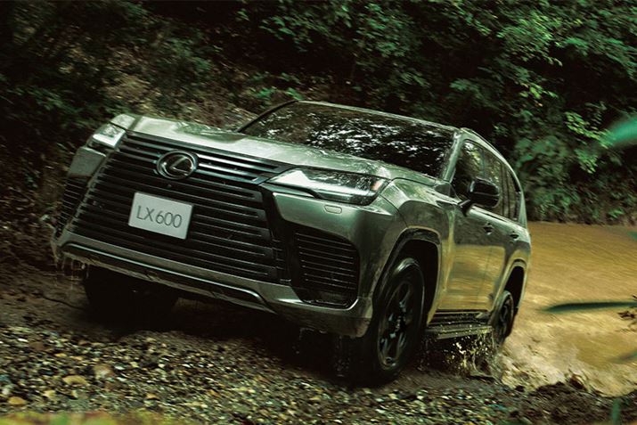 Hʂ킸KȈړ\ɂ郌NTXuLXv