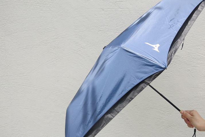 Vj킸g^ē͓PhX^_[hɂȂ肻ȗ\