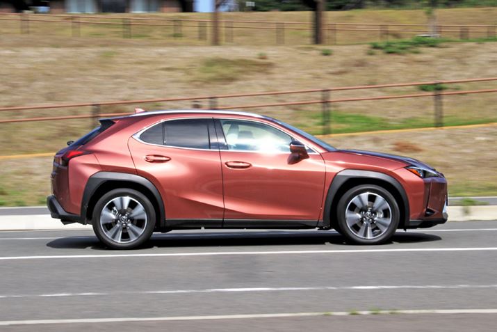 uUXv̒i萫͌ĒႭ͂Ȃ̂AAWDfƂƂ̃Coɋ߂N}ȂǂƔrƂقǍ͊Ȃ