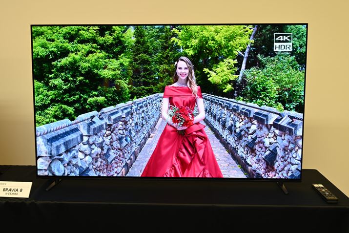 4KL@ELteruBRAVIA 8vBWOLEDpl̗p