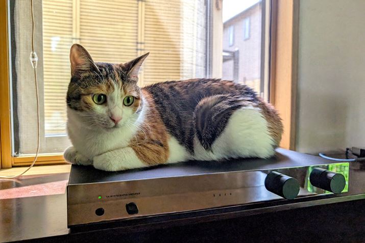 uVA-40v̔ḾAL낮̂ɂ傤ǂ悢x