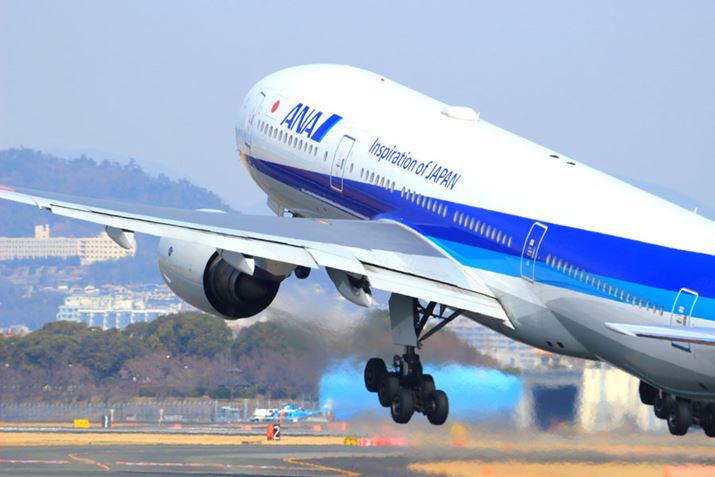 ߂|Cg̈ꕔ͋AȗpɁAANA}Cƌ邱ƂlĂ܂