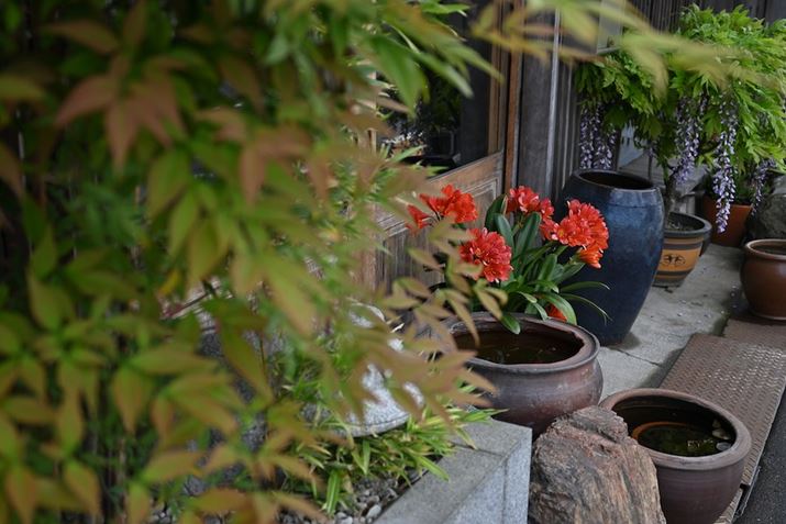 Z fcANIKKOR Z 28mm f/2.8AF2.8A1/1000bAISO100A-0.3EVAzCgoXFI[g1i͋CcjAsN`[Rg[FX^_[h