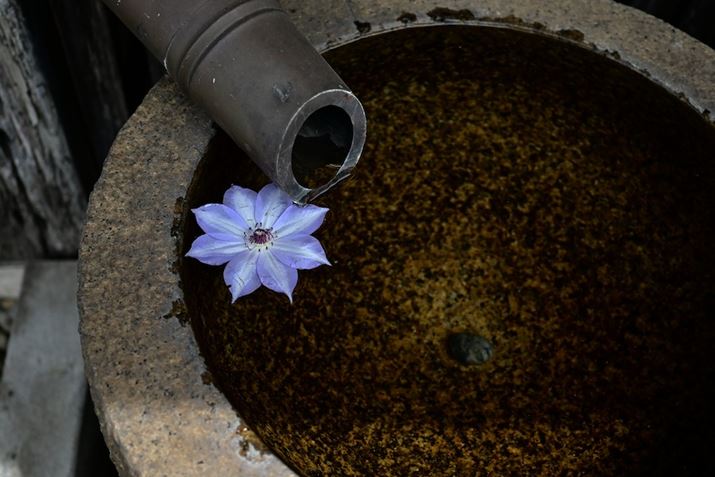 Z fcANIKKOR Z 28mm f/2.8AF2.8A1/1000bAISO100A-0.3EVAzCgoXFI[g1i͋CcjAsN`[Rg[F\o[