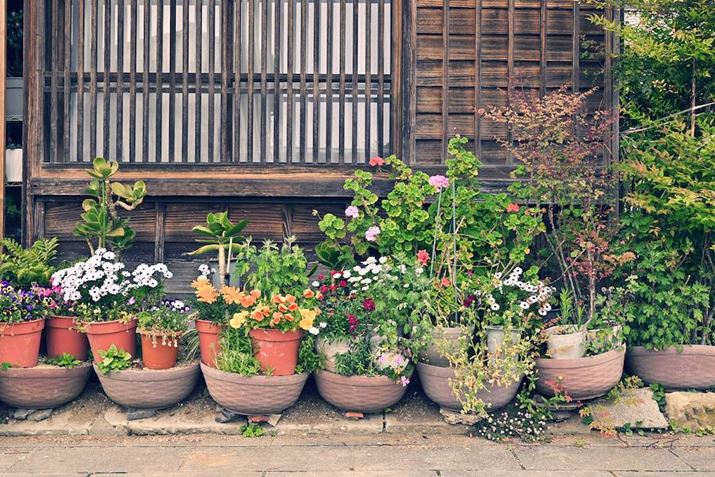 ʑ̂ɐ΂\}͕W悪₷łZ fcANIKKOR Z 28mm f/2.8AF6.3A1/160bAISO100A+0.3EVAzCgoXFI[g1i͋CcjAsN`[Rg[FgC