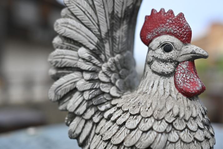 ŒZBe܂ŋ߂ÂĎBeBقǂ悢ߊŃ_Ci~bNȕ`ʂɁBJF2.8ŎBĂ܂V[vȕ`ʂłZ fcANIKKOR Z 28mm f/2.8AF2.8A1/1600bAISO100A+0.3EVAzCgoXFI[g1i͋CcjAsN`[Rg[FX^_[h