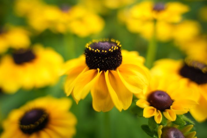 7R VA24-70mm F2.8 DG DN IIA24mmAF2.8A1/800bAISO400AzCgoXFI[gANGCeBubNFSTBeʐ^i9504×6336A31.6MBj