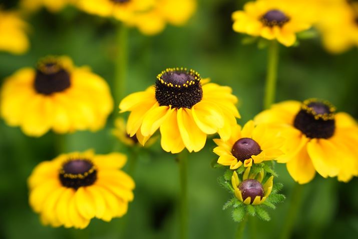 7R VA24-70mm F2.8 DG DN IIA70mmAF2.8A1/800bAISO400AzCgoXFI[gANGCeBubNFSTBeʐ^i9504×6336A31.6MBj