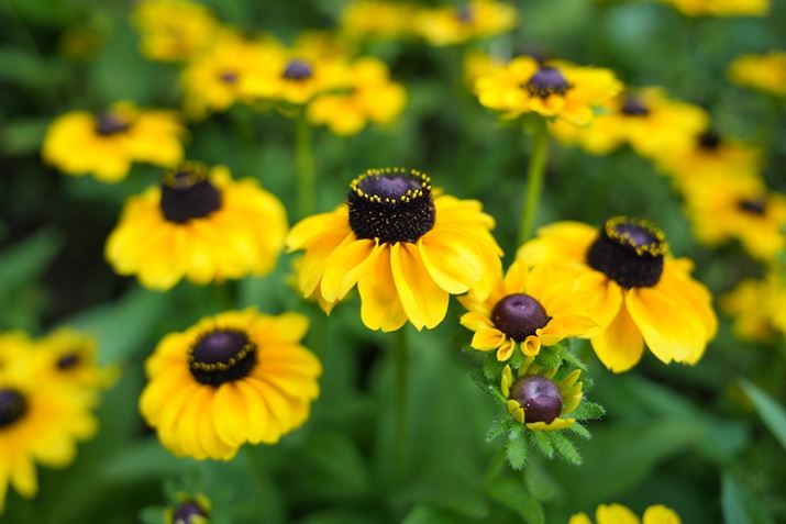 7R VAFE 24-70mm F2.8 GM IIA24mmAF2.8A1/800bAISO400AzCgoXFI[gANGCeBubNFSTBeʐ^i9504×6336A35.1MBj