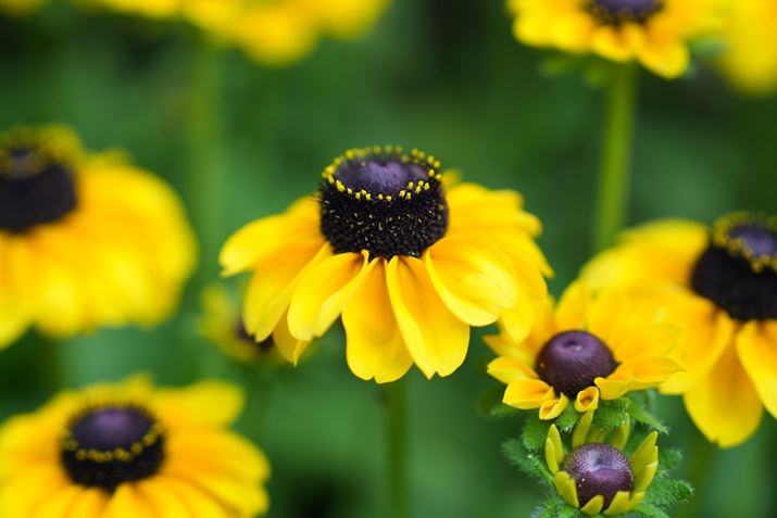 7R VAFE 24-70mm F2.8 GM IIA70mmAF2.8A1/800bAISO400AzCgoXFI[gANGCeBubNFSTBeʐ^i9504×6336A32.9MBj