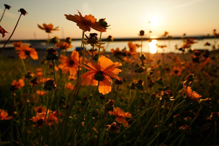 7R VA24-70mm F2.8 DG DN IIA24mmAF8.0A1/800bAISO400AzCgoXFAANGCeBubNFVVBeʐ^i9504×6336A33.9MBj