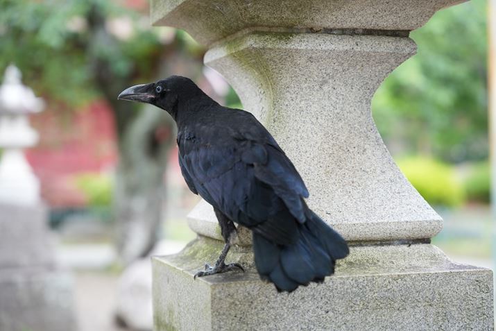 7R VA24-70mm F2.8 DG DN IIA70mmAF2.8A1/80bAISO400AzCgoXFI[gANGCeBubNFSTBeʐ^i9504×6336A35.6MBj