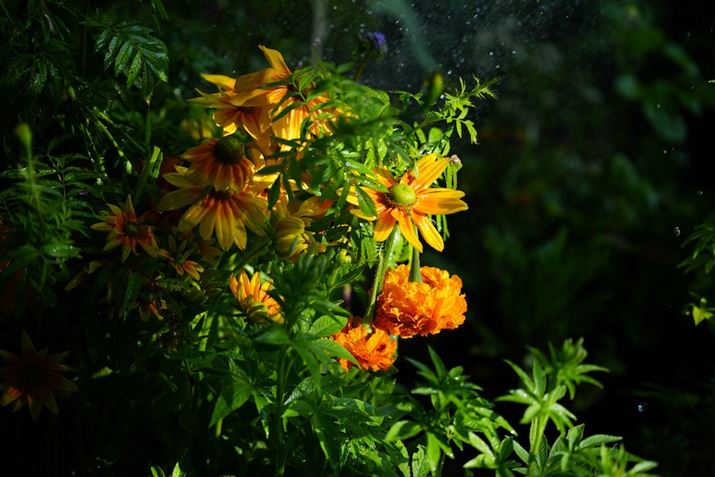 7R VA24-70mm F2.8 DG DN IIA64mmAF2.8A1/1600bAISO400AzCgoXFI[gANGCeBubNFVVBeʐ^i9504×6336A35.8MBj