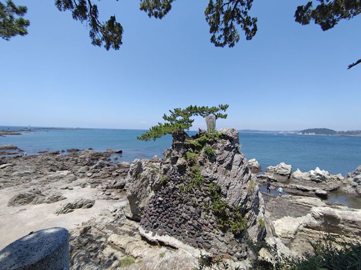 35mmZ̏œ_13mmȂ̂őЂ̐ił͒LpɕނBӕɋUF킸Ɍ邪ALp炵͂