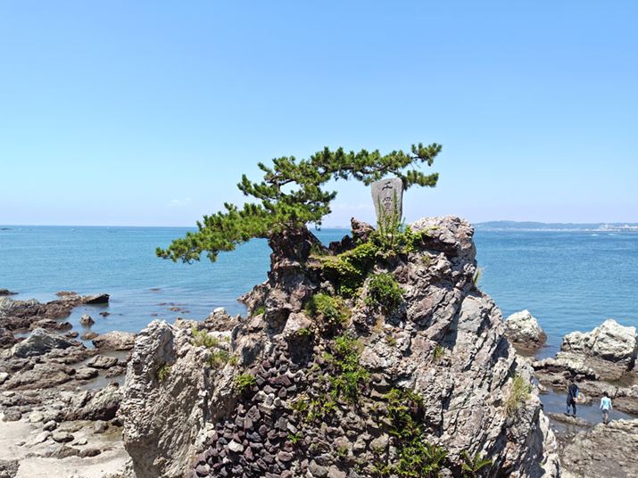 Ɠ\}BeB\}̒͂񂾂܂ŉ𑜊ƍ܂