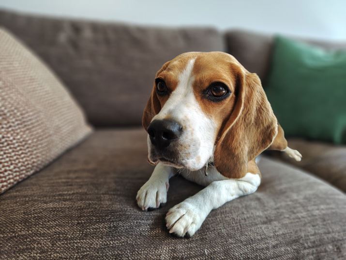 u|[g[gv[hňBeBwi{P̓x͒\BȄR