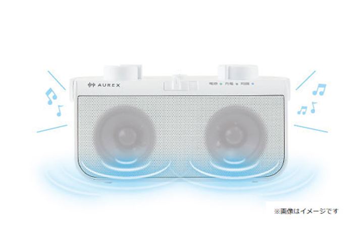 uTY-WSD20v̓tWjbgɂVvȃXeIXs[J[