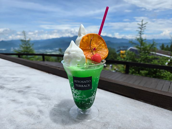 𑜊͏\BW[XgbsOꂽt[c̔FRȈۂł