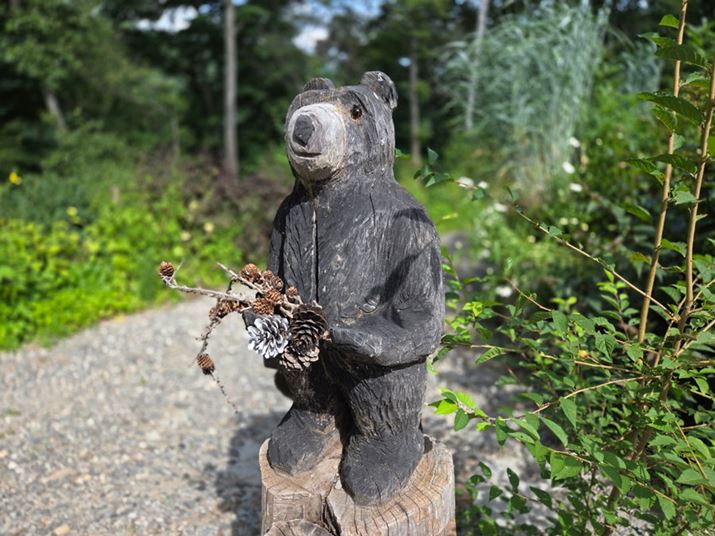 wiڂĔʑ̂Ău|[g[g[hvBlΏۂłȂꍇ́Aׂ}ȂǈꕔEwiɗn邱Ƃ܂B