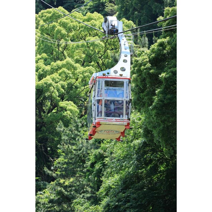 uRF-S18-150mm F3.5-6.3 IS STMv̖][150mmŎBeBuEOS R7vAF{ɂ΂炵łBxɔʑ̂oĂ̂ŁA藈蕨ȂĎBeł܂BJVb^[łō15R}/b̘Aʂ\łEOS R7ARF-S18-150mm F3.5-6.3 IS STMA150mmi35mmZ240mmjAF6.3A1/250bA+0.3EVAISO250AzCgoXFziB2AG2jAsN`[X^CFi