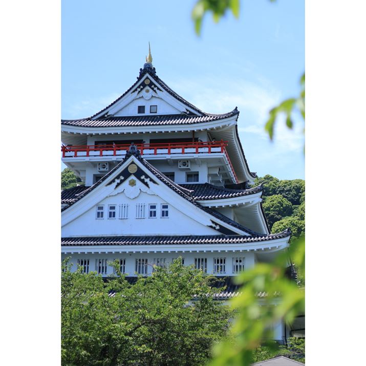 [vEFCŏオRRɂ͔MCقMC邪܂BMC1959Nɒz邳AVt͔MCsXMCp]ł܂EOS R7ARF50mm F1.8 STMA50mmi35mmZ80mmjAF2A1/3200bA+0.7EVAISO100AzCgoXFzAsN`[X^CFi