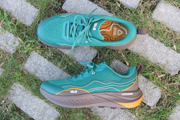 ʐ^̑n{Ώ̂悤ȘHʂKɕ