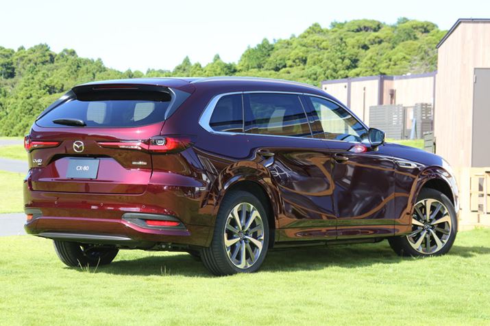 uCX-80ṽtgAAGNXeAB{fBJ[́AuA[eBUbhv~A^bNvBu\EbhNX^^bNvAɐ[݂̂Ԃ