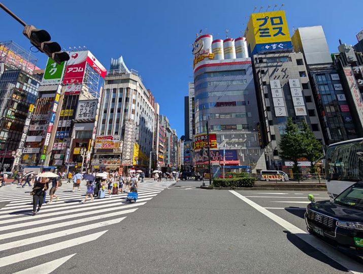 uPixel 9vijAuPixel 9 Pro XLvij