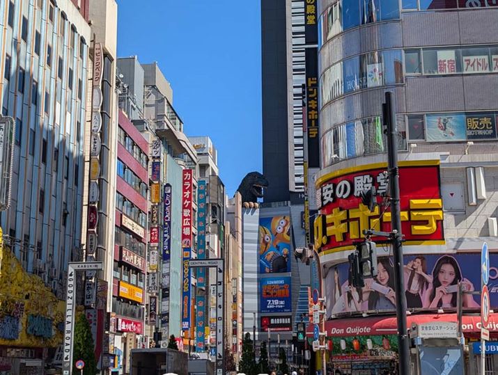 2{ŎBeBuPixel 9vijAuPixel 9 Pro XLvij