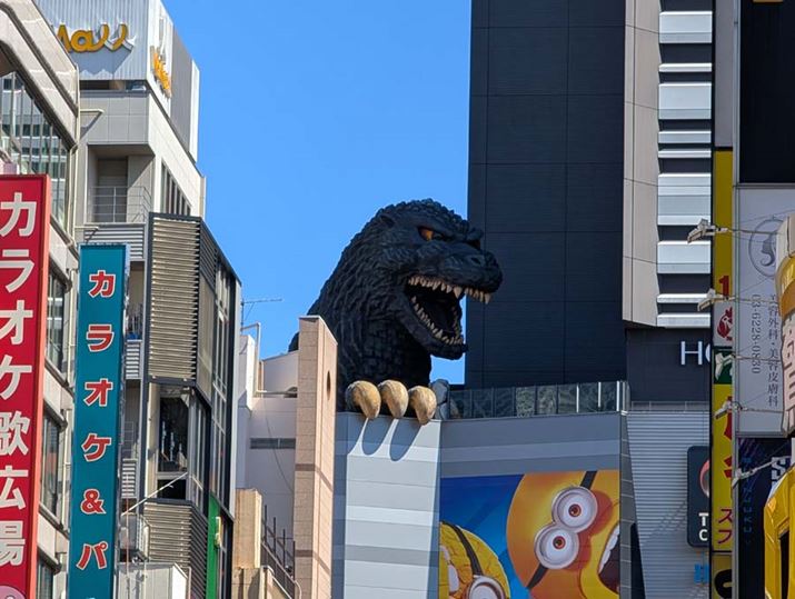 8{ŎBeBuPixel 9vijAuPixel 9 Pro XLvij