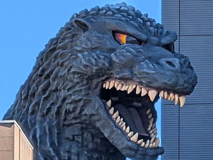 30{ŎBeBuPixel 9 Pro XLv