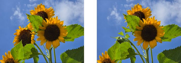 f̕ҏẂÂ̍폜ړȂǂAIōsB̎ʐ^̂Ђ܂̈ւĂ݂