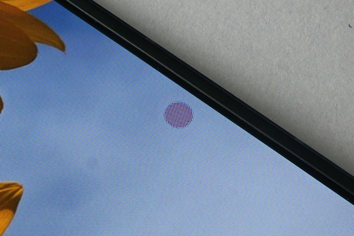 CfBXvCUDĆA߂̉ffƑ݂яオ