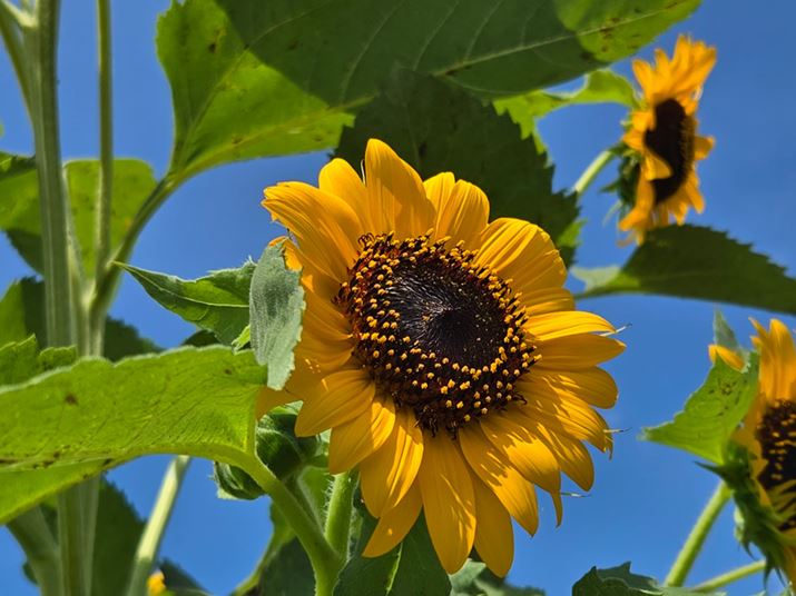 sNZrjOŁAfW^Y[sƂŉ掿̗򉻂}ĂB掿\