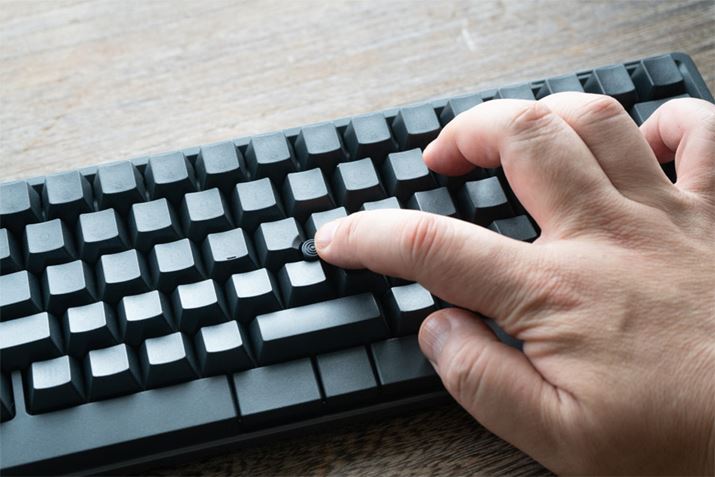 |CeBOXeBbN̑슴͌yǍD