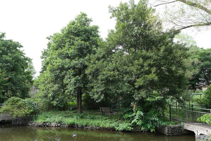 X-T50AXF16-50mmF2.8-4.8 R LM WRA22mmi35mmZ33mmjAF5.6A1/75bAISO125AzCgoXFI[gAtBV~[VFPROVIA/X^_[hBeʐ^i7728×5152A24.0MBj