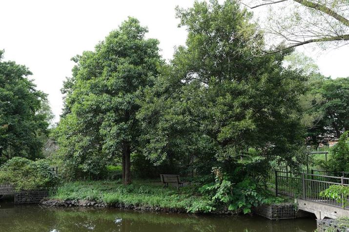 X-T5AXF16-50mmF2.8-4.8 R LM WRA22mmi35mmZ33mmjAF5.6A1/80bAISO125AzCgoXFI[gAtBV~[VFPROVIA/X^_[hBeʐ^i7728×5152A24.1MBj