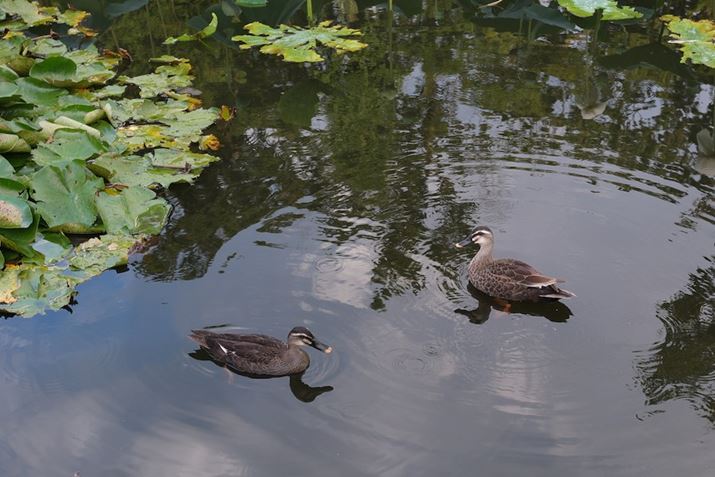 X-T5AXF16-50mmF2.8-4.8 R LM WRA42mmi35mmZ63mmjAF5.6A1/125bAISO400AzCgoXFI[gAtBV~[VFPROVIA/X^_[hBeʐ^i7728×5152A20.8MBj