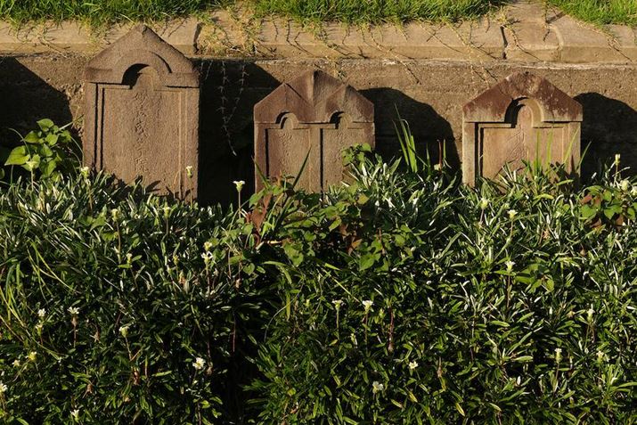 X-T5AXF16-50mmF2.8-4.8 R LM WRA35mmi35mmZ53mmjAF5.6A1/160bAISO125AzCgoXFI[gi͋CDjAtBV~[VFPROVIA/X^_[hBeʐ^i7728×5152A23.7MBj