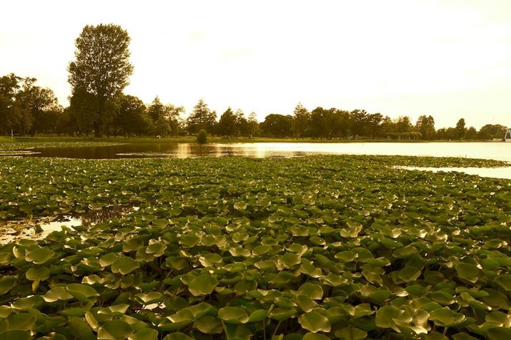 X-T50AXF16-50mmF2.8-4.8 R LM WRA35mmi35mmZ53mmjAF8.0A1/60bAISO125AzCgoXF10000KAtBV~[VFmX^WbNlKBeʐ^i7728×5152A19.3MBj