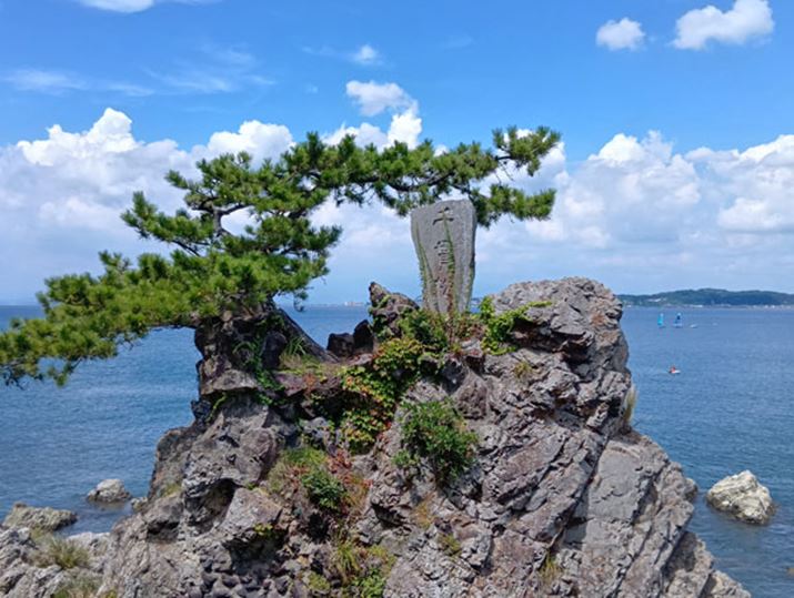 ^bv1.5{ɐ؂ւANȉ掿Ŏʂ