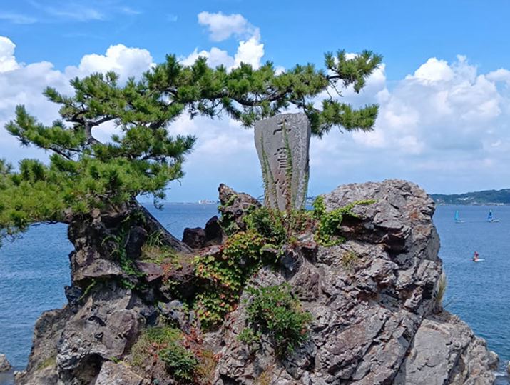 2{ɂ^bvŐ؂ւB掿̗򉻂SzȂ