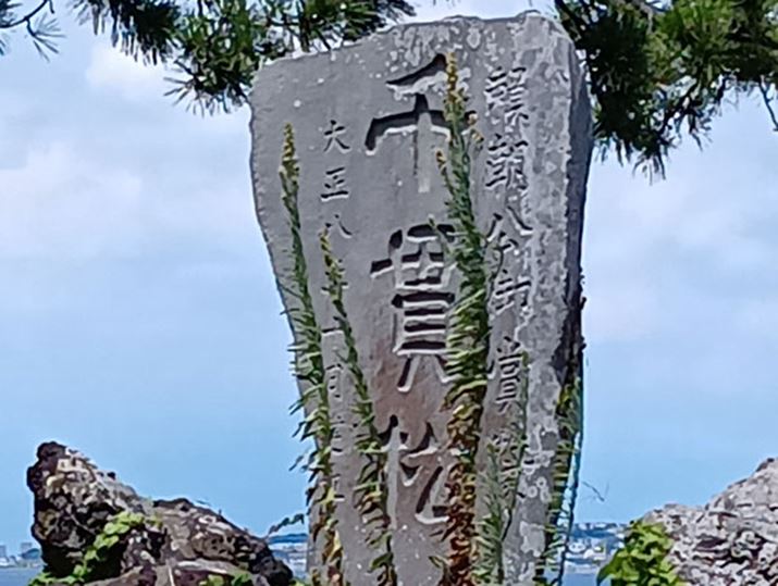 掿͑eȂ邪AX}z̉ʂŌɂ͏\ȉ掿Ƃ