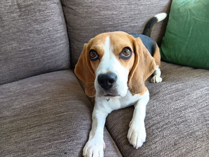 łtbVȂŁAK؂Ȗ邳Ŏʂ