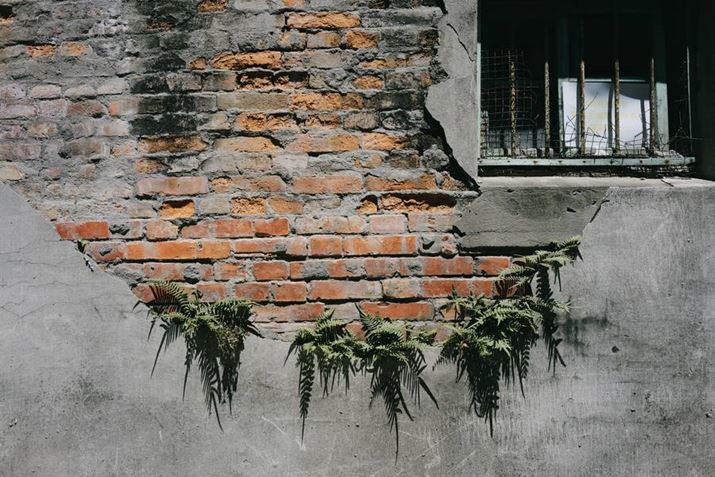 LUMIX S9ALUMIX S 26mm F8A26mmAF8A1/200bAISO100AzCgoXFVAtHgX^CFSample LUT2Beʐ^i6000×4000A13.0MBj