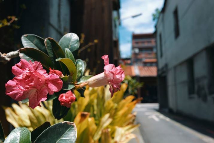 LUMIX S9ALUMIX S 26mm F8A26mmAF8A1/125bAISO100AzCgoXFVAtHgX^CFSample LUT3Beʐ^i6000×4000A8.5MBj