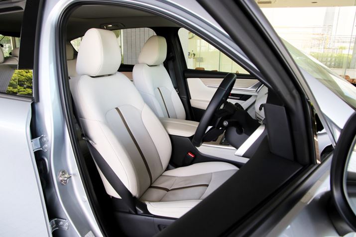 K؂ȃhCrO|WV́A}c_ߔNĂ邱Ƃ̂ЂƂŁAuCX-60vɂƓPĂ