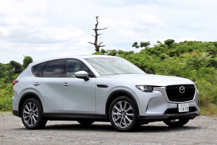 gRX8ATɂ́A}c_߂ln̂̑Ƃv߂ĂB܂ANb`ɂ郍X邱ƂŔRɂvƍl̂ŁAgX~bVƌ