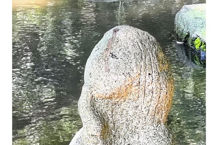 ő10{Y[ƁAɑeۂiCJFfW^Y[10{j